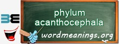 WordMeaning blackboard for phylum acanthocephala